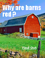 The history of the red barn can be traced back to Colonial times. In the early settlement days, farmers had limited options when it came to preserving and protecting their wooden barn structures. Many early farmers would seal their barn wood with linseed oil�an orange-colored oil derived from flax seeds. This proved to be a durable and effective sealant and the idea naturally spread.